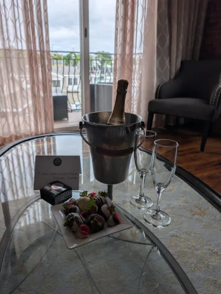 16 Bay View — gallery preview 2